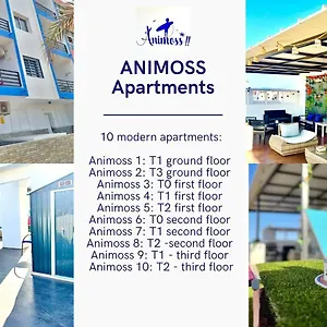 Animos! - 10 Modern Near The & Beach, Perfect For Nomads, Travellers, Families, Watersports! Santa Maria
